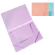 Mapa PVC Pastelata cu Elastic